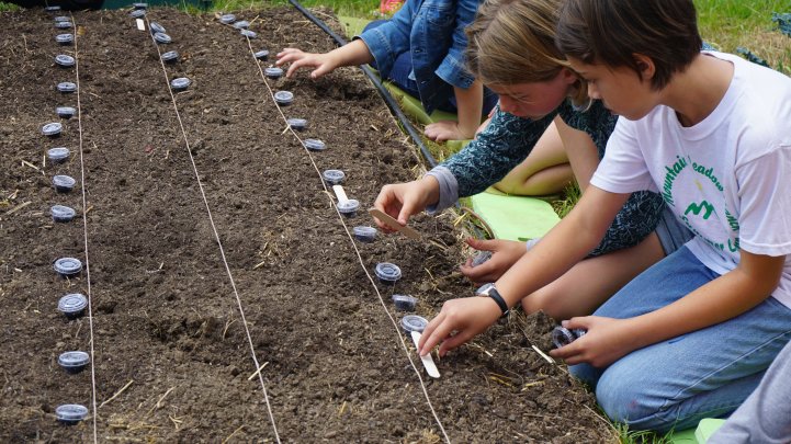 Farm measuring and planting